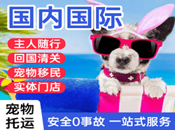 温州龙湾航空邮寄国际宠物托运 【国